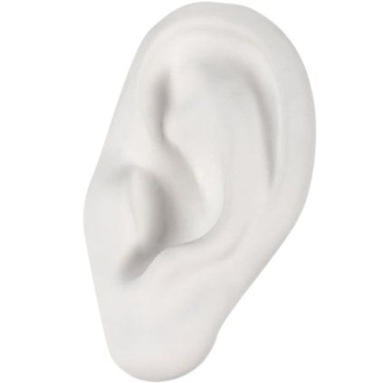 Dekoracija za dom porcelanasto uho MEMORABILIA MVSEVM, 24,5 cm, bela, Seletti