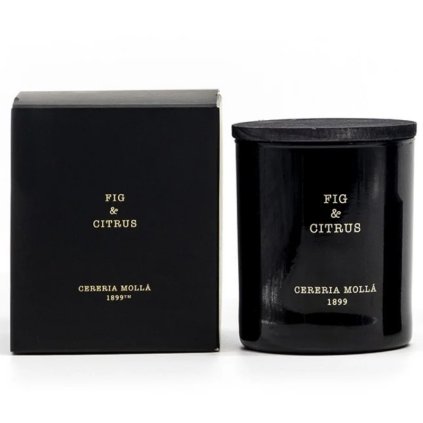 Dišeča sveča FIG & CITRUS, 230 g, Cereria Mollá