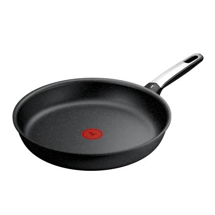 231064 panev expertise 30 cm titan tefal
