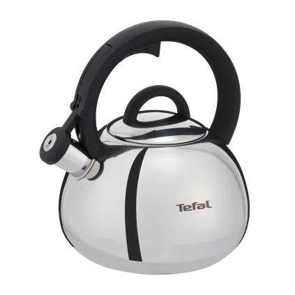 231046 varna konvice duetto 2 5 l stribrna nerezova ocel tefal