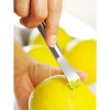 Zester strgalnik lupine citrusov PROFI PLUS, WMF