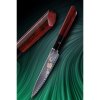Japonski set nožev JOSHI SAKURA, 4 kosi, z brusilnim kamnom, darilna škatla, Dellinger