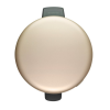Koš za smeti s pedalom NEWICON, 30 l, šampanjec, Brabantia