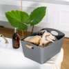 Kopalniški organizator BOXXX L, 15 l, naravno siva, Koziol