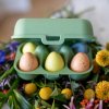 Vložek za jajca EGGS TO GO MINI, 17 cm, za 6 jajc, listnato zelena, Koziol