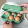 Vložek za jajca EGGS TO GO MINI, 17 cm, za 6 jajc, listnato zelena, Koziol