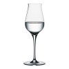 Kozarec za žgane pijače AUTHENTIS DIGESTIVE, set 4 kosov, 170 ml, Spiegelau