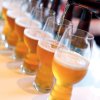 Kozarec za pivo CRAFT BEER CLASSICS IPA GLASS, set 6 kosov, 540 ml, Spiegelau