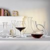 Dekanter za vino AUTHENTIS, 1 l, Spiegelau