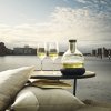 Hladilni dekanter za vino 0,75 l Eva Trio