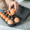 Vložek za jajca EGGS TO GO, 28 cm, za 10 jajc, pepelnato siva, Koziol