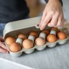 Vložek za jajca EGGS TO GO, 28 cm, za 10 jajc, pepelnato siva, Koziol