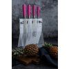 Set nožev PINK SPIRIT, 5 kosov, z magnetnim stojalom, F.DICK