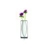 196041 2 vaza float 23 cm seda philippi
