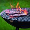 Kurišče FLAMES 56 cm, črna, Philippi