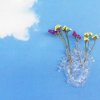 Vaza LOVE IN BLOOM, 25 cm, steklo, Seletti