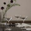 Kozarci za martini PERFECTION, set 6 kosov, 290 ml, prozorni, Holmegaard