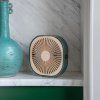 Namizni ventilator FANTASTIC, 20 cm, zelen, Printworks