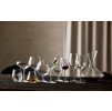 Kozarec za žgane pijače, JUVEL, set 6 kosov, 90 ml, Lyngby Glas