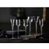 Kozarec za žganje ROMA, set 6 kosov, Lyngby Glas