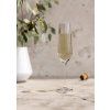 Komplet kozarcev do Šampanjec 6 kosovLEGIO NOVA 260 ml,Eva Trio