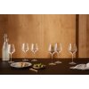 Komplet kozarcev do rdeče vino 6 kosovLEGIO NOVA 450 ml,Eva Trio