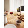 Komplet kozarcev do rdeče vino 6 kosovLEGIO NOVA 450 ml,Eva Trio