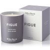 Dišeča sveča FIGUE, 220 g, Miller Harris