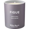 Dišeča sveča FIGUE, 220 g, Miller Harris