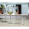 Kozarci za vodo ARABESQUE, set 2, 460 ml, prozorni, Spiegelau