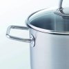 Visoka casserole kozica VISEO, 20 cm, srebrna, iz nerjavečega jekla, Fissler