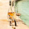 Vzvodni odpirač za vino UP & DOWN, z zamaškom za penino, L'Atelier du Vin