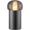 Prenosna namizna svetilka IRIS, 18 cm, LED, kovinska barva, aluminij, Blomus