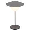 Prenosna namizna svetilka ANI MINI, 21 cm, LED, toplo siva, aluminij, Blomus