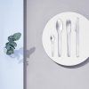 Namizni nož EM, 21 cm, srebrna, nerjaveče jeklo, Stelton