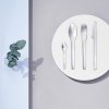 161927 3 jidelni vidlicka em 21 cm stribrna nerezova ocel stelton