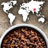 Divja paprika TIMUT, 4 x 10 g, Peugeot