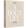 Foto album A DOG´S LIFE, bež, Printworks