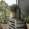 Zalivalka BLOOM, 2 l, borovo zelena, nerjaveče jeklo, Stelton