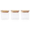 Posoda za shranjevanje hrane PKV-015, 800 ml, set 3 kosov, steklo / bambus, Pebbly