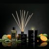 Difuzor dišav za dom BASIL & MANDARIN, 100 ml, Cereria Mollá