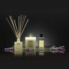 Difuzor dišav za dom PROVENCE LAVENDER, 100 ml, Cereria Mollá