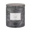 217433 vonna svicka frabli agave doba horeni 18 hodin blomus