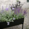 218117 3 stojan na kvetiny simply grow 80 x 53 cm cerna ocel eva solo