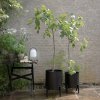 218105 2 stojan na kvetiny simply grow 31 x 42 cm cerna ocel eva solo