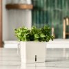 219542 1 kvetinac tealby 15 cm bila plast cole mason