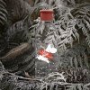 220451 1 lahev na vodu moomin 750 ml cervena tritan rig tig