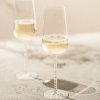 221609 1 sklenice na sampanske journey 358 ml sada 2 ks zwiesel glas