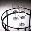 221525 5 sklenice na martini echo 166 ml sada 4 ks zwiesel glas