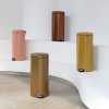 221738 10 pedalovy odpadkovy kos newicon 30 l teple zlata ocel brabantia
